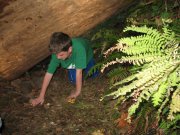 10.21.06 Wauna Viewpoint 086